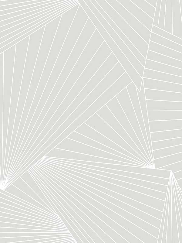 Ray Geo Peel and Stick wallpaper in granite dust color - pattern number NW41308 - by NextWall in the Peel and Stick Wallpaper by Nextwall collection