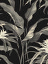 Palma Peel and Stick fabric in onyx and alloy color - pattern number SG10300 - by NextWall in the Peel and Stick Wallpaper by Stacy Garcia Sojourn Collection collection