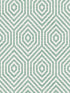 Hexagon Geometric fabric in moss green color - pattern number TP80504 - by Pelican Prints in the Maui Maui collection