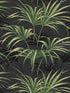 Open Palm Leaf fabric in onyx color - pattern number TP80600 - by Pelican Prints in the Maui Maui collection