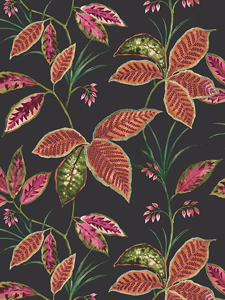 Leaves wallpaper in onyx color - pattern number TP80800 - by Pelican Prints in the Maui Maui collection