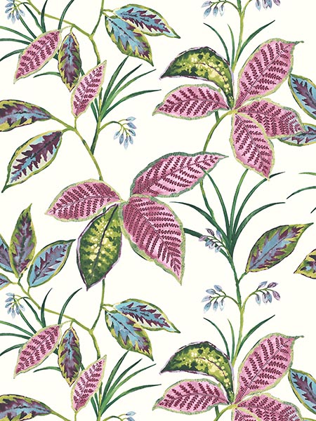 Leaves wallpaper in pink pomona color - pattern number TP80801 - by Pelican Prints in the Maui Maui collection