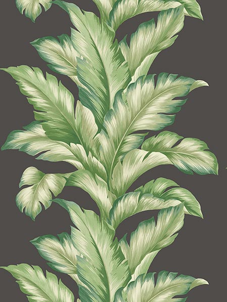 Big Leaf wallpaper in ash color - pattern number TP81200 - by Pelican Prints in the Maui Maui collection