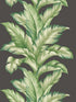 Big Leaf wallpaper in ash color - pattern number TP81200 - by Pelican Prints in the Maui Maui collection