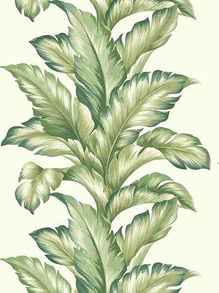 Big Leaf wallpaper in summer fern color - pattern number TP81204 - by Pelican Prints in the Maui Maui collection