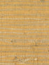 Arrowroot fabric in orange color - pattern number RH6023 - by Wallquest in the Natural Textures collection