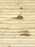 Arrowroot fabric in warm neutral beige color - pattern number RH6034 - by Wallquest in the Natural Textures collection