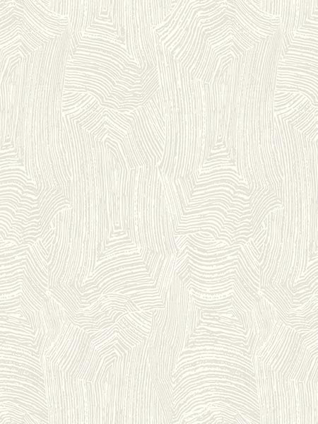 Abstract Woodgrain wallpaper in cool neutral color - pattern number AF41905 - by Pelican Prints in the Sumi Collection collection