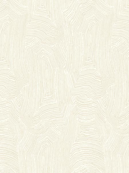 Abstract Woodgrain wallpaper in warm neutral beige color - pattern number AF41907 - by Pelican Prints in the Sumi Collection collection