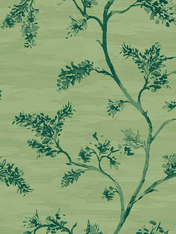 Watercolor Branches wallpaper in green color - pattern number EH71414 - by Pelican Prints in the Maya collection