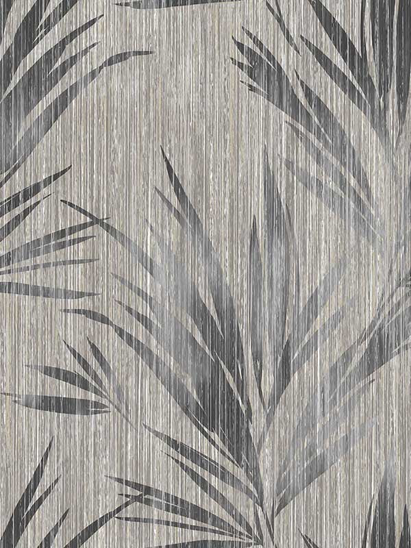 Tropical Leaf wallpaper in black color - pattern number EH71900 - by Pelican Prints in the Maya collection