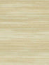 Skin Faux fabric in warm neutral beige color - pattern number SK90306 - by Pelican Prints in the Skyline collection