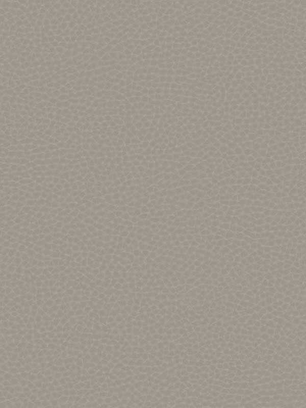 Queenswood fabric in graphite color - pattern number CR83008 - by Carl Robinson in the Carl Robinson 17 Loft collection