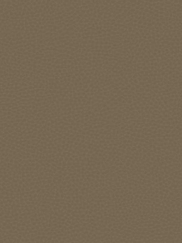 Queenswood fabric in coffee color - pattern number CR83016 - by Carl Robinson in the Carl Robinson 17 Loft collection