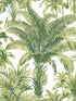 Palms fabric in green color - pattern number CN30704 - by Wallquest in the Charleston collection