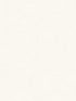 Leaves fabric in off white color - pattern number 1303302 - by Seabrook in the Black and White by Etten Gallerie collection