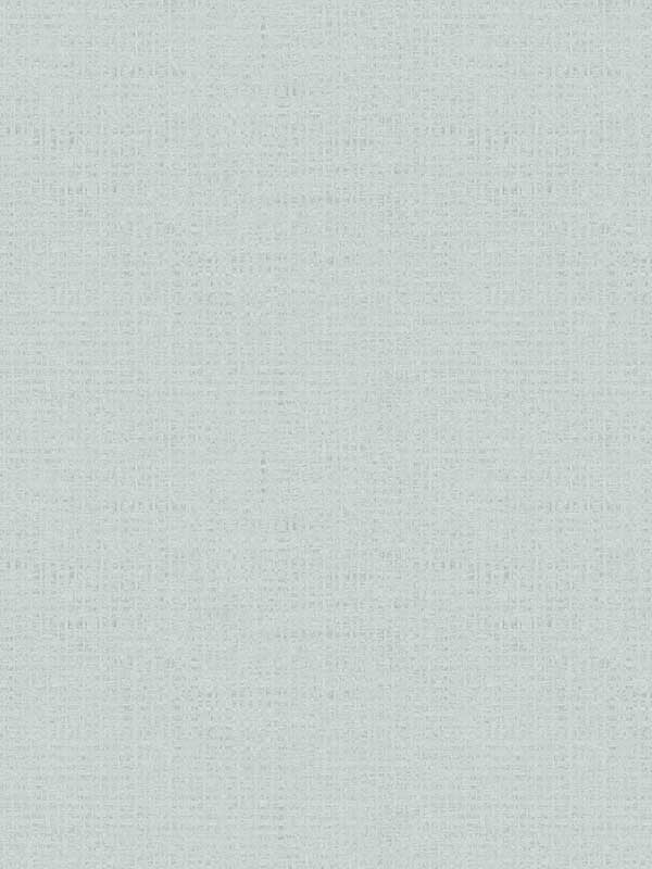 Nimmie Woven Grasscloth fabric in teal color - pattern number 3122-10012 - by Chesapeake in the Flora and Fauna collection