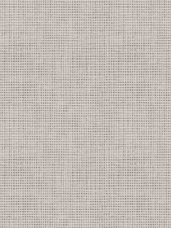 Nimmie Woven Grasscloth fabric in stone color - pattern number 3122-10020 - by Chesapeake in the Flora and Fauna collection