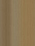 Pablo Stripe fabric in honey color - pattern number 307311 - by Eijffinger in the Museum Eijffinger collection