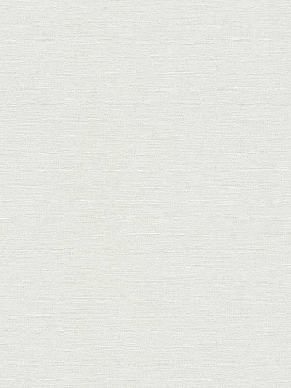 Estefan Distressed Texture fabric in off white color - pattern number 4044-306889 - by Advantage in the Cuba collection