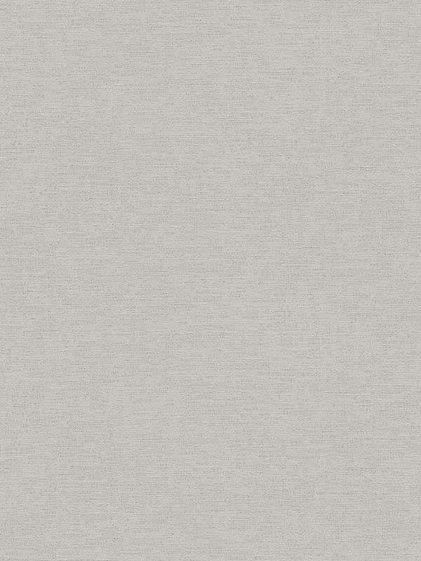 Canseco Distressed Texture fabric in grey color - pattern number 4044-306894 - by Advantage in the Cuba collection