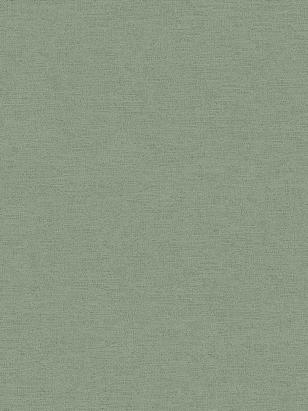 Estefan Distressed Texture fabric in dark green color - pattern number 4044-371787 - by Advantage in the Cuba collection