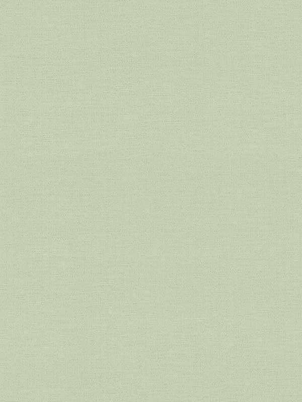 Estefan Distressed Texture fabric in green color - pattern number 4044-371788 - by Advantage in the Cuba collection