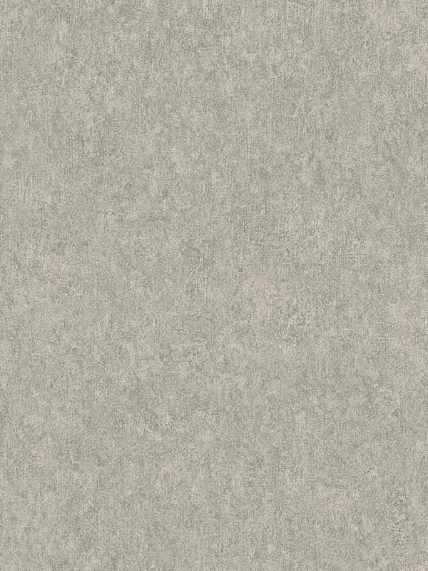 Genki Distressed wallpaper in grey color - pattern number 4035-617191 - by Advantage in the Windsong collection