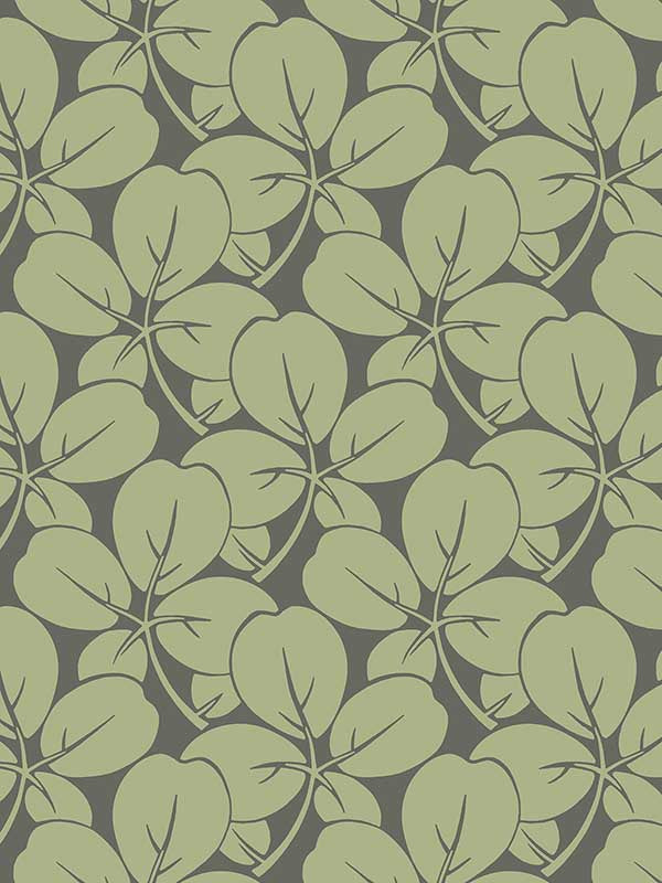 Robert Clover wallpaper in green color - pattern number 2970-26109 - by A Street Prints in the Revival collection