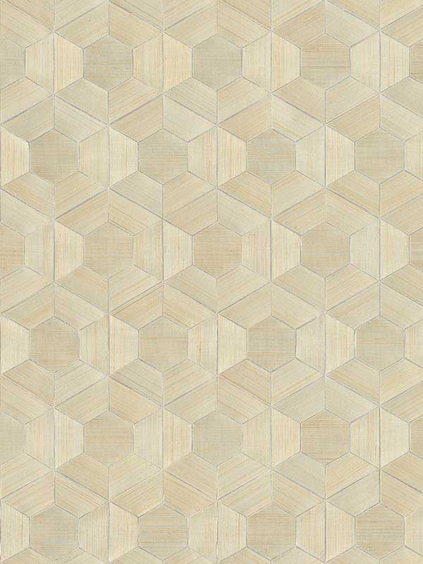 Linzhi Abaca Grasscloth Inlay wallpaper in metallic color - pattern number 2972-86114 - by A Street Prints in the Loom collection