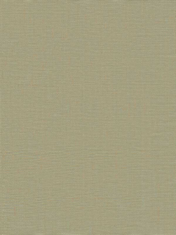 Yanyu Paper Weave Grasscloth wallpaper in sage color - pattern number 2972-86143 - by A Street Prints in the Loom collection