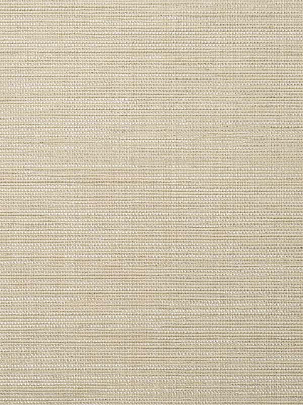 Kimit fabric in birch color - pattern number WFT1602.WT.0 - by Winfield Thybony in the Natural Textiles collection