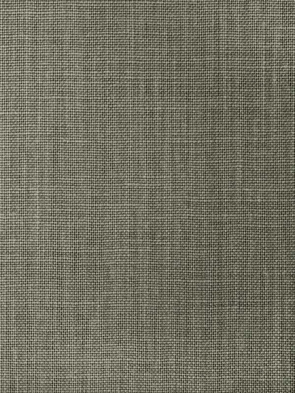 Benning fabric in juniper color - pattern number WFT1629.WT.0 - by Winfield Thybony in the Natural Textiles collection