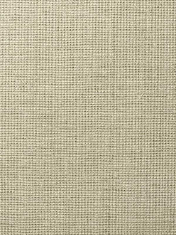 Chadwick wallpaper in biscuit color - pattern number WFT1701.WT.0 - by Winfield Thybony in the Natural Textiles collection