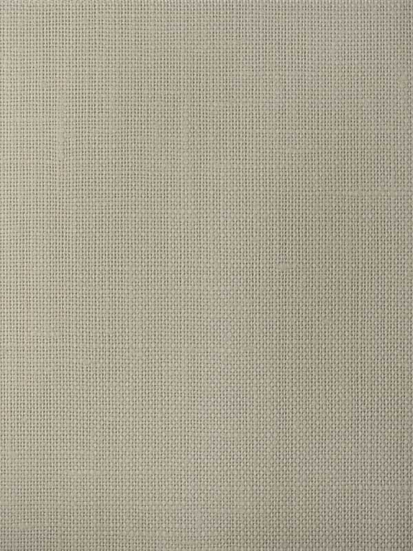 Chadwick wallpaper in reed color - pattern number WFT1704.WT.0 - by Winfield Thybony in the Natural Textiles collection
