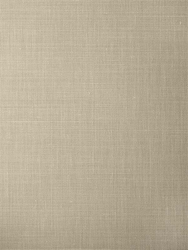 Morris wallpaper in acorn color - pattern number WFT1714.WT.0 - by Winfield Thybony in the Natural Textiles collection