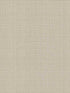 Caprice fabric in tan color - pattern number DA3516 - by York in the Artisan Digest collection