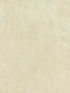 Francesca Texture fabric in champagne color - pattern number 4058-21731 - by Brewster in the Italian Silk collection
