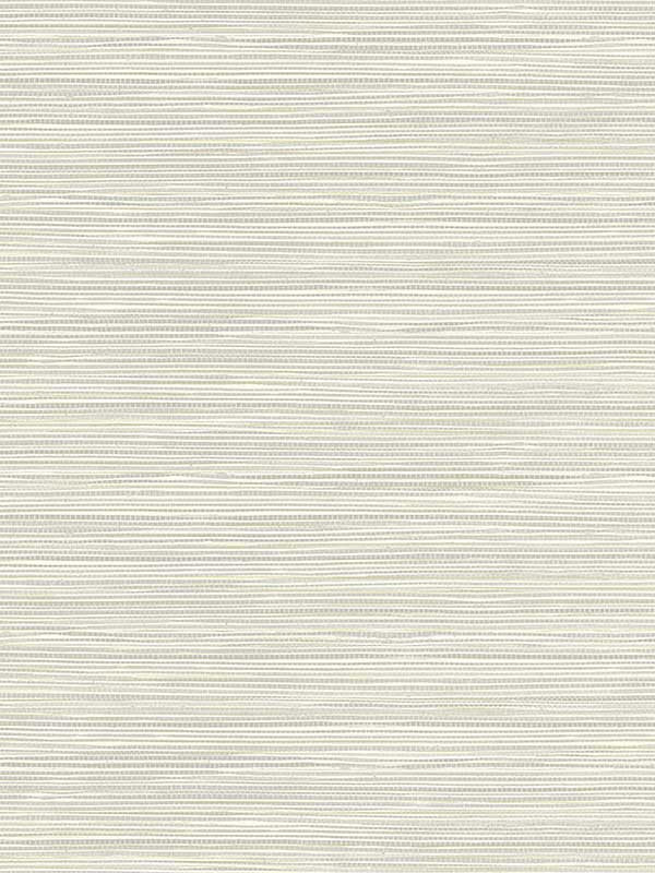 Bondi Grasscloth Texture wallpaper in light grey color - pattern number 2984-40908 - by Warner in the Warner XI Naturals and Grasscloths collection