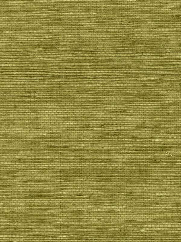 Sisal Grasscloth wallpaper in olive color - pattern number LN11804 - by Seabrook in the Lillian August Natural Textured Wallcoverings collection
