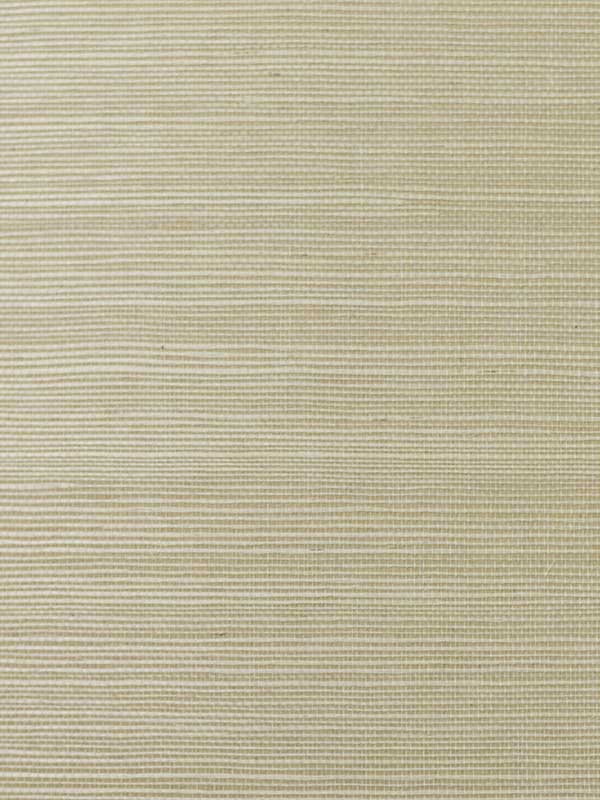Sisal Grasscloth wallpaper in wheat grass color - pattern number LN11805 - by Seabrook in the Lillian August Natural Textured Wallcoverings collection