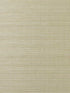 Sisal Grasscloth wallpaper in wheat grass color - pattern number LN11805 - by Seabrook in the Lillian August Natural Textured Wallcoverings collection