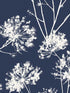 Dandelion Fields fabric in navy blue color - pattern number ET10412 - by Seabrook in the Etten Gallerie Online collection