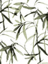 Bamboo Ink fabric in green and black color - pattern number BW3842 - by York in the Black and White Resource Library collection