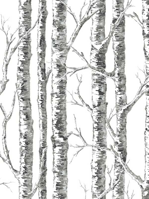 Paper Birch fabric in black and white color - pattern number BW3902 - by York in the Black and White Resource Library collection