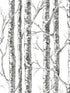 Paper Birch fabric in black and white color - pattern number BW3902 - by York in the Black and White Resource Library collection