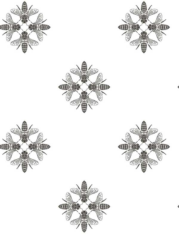 Honey Bee fabric in black and white color - pattern number ON1643 - by York in the Black and White Resource Library collection