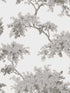 Ashdown Tree fabric in grey color - pattern number M1671 - by Brewster in the Archive Collection collection