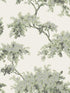 Ashdown Tree fabric in sage color - pattern number M1674 - by Brewster in the Archive Collection collection