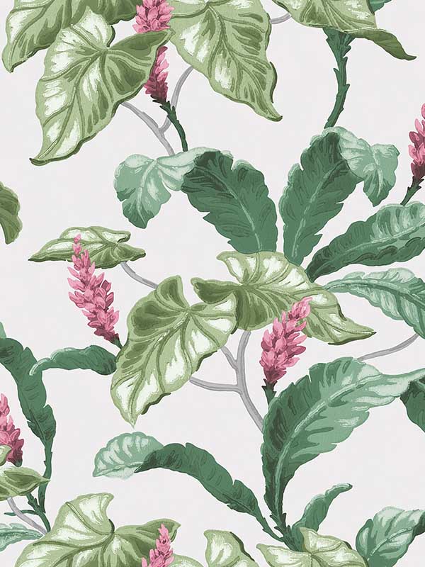 Meridian Parade Tropical Leaves wallpaper in green color - pattern number M1692 - by Brewster in the Archive Collection collection